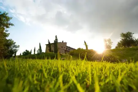Agriturismo Podere Campaini - 39