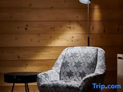Aspen alpin lifestyle Grindelwald - 51