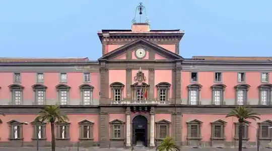Palace Napoli - 0