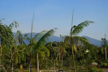 IP Plus Resort Chanthaburia - Halal - 145