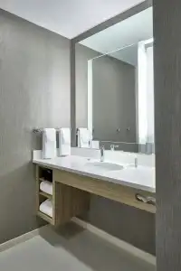 SpringHill Suites by Marriott Charlotte at Carowinds - 28