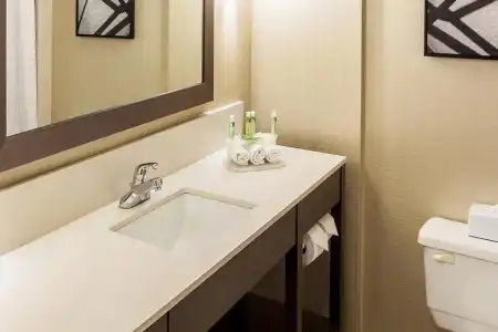 Holiday Inn Express Vancouver-Metrotown (Burnaby) by IHG - 6