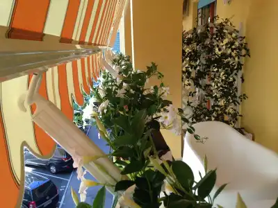 Al Parco Verde B&B - 5