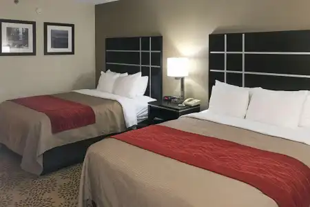 Comfort Inn North of Asheville - 6