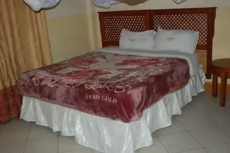 Arusha Center Inn - 9