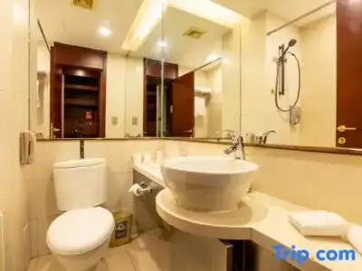 Excemon Beijing Hongxiang - 51