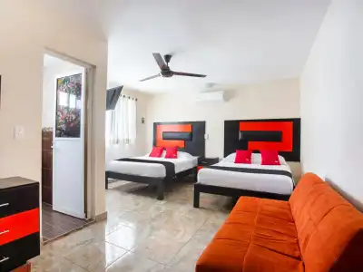 Jardín - 16