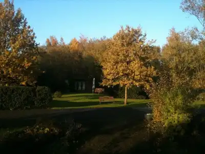 Restaurant Fischer - 10