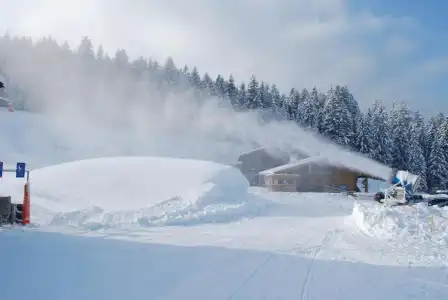 Alpengasthof Götschenalm - 12
