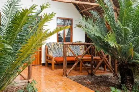 New Jambo Bungalows - 75