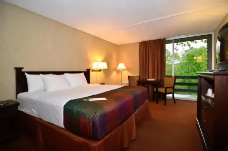Best Western Branson Inn And Conference Center - 38