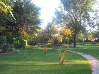 Ca' Savio Camping - 14