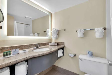 Best Western Orlando Gateway - 10
