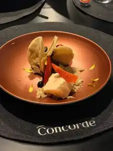 Concorde - 11