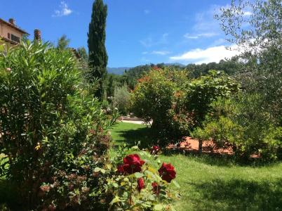 Villa Rigacci - 19