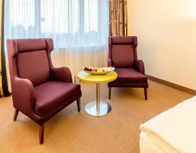 PLAZA Premium Wien - 14