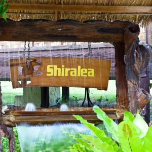 Shiralea Island Resort - 57