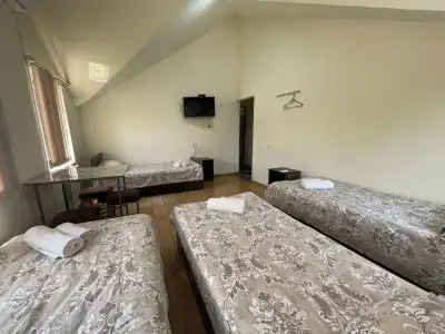 Noragyugh Guest house - 10