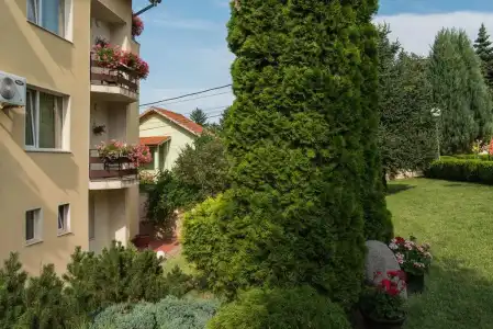 Jasmin - 4
