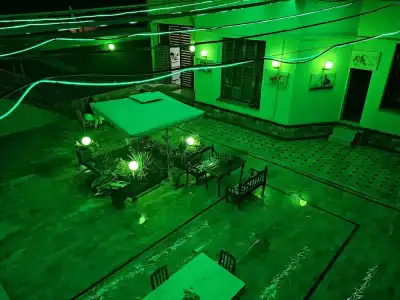 Green House - 52