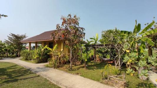 Country Retreat - 41