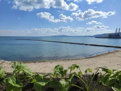 Oasis - Beach Access - 10