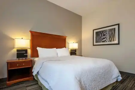 Hampton Inn by Hilton Bowling Green - 27