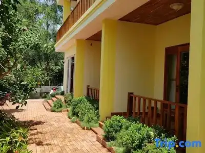 Free Beach Resort - 57