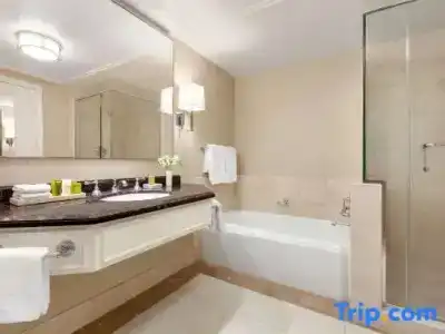 Signia by Hilton San Jose - 102
