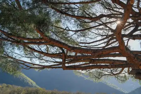 Nonno Luigino - 15