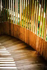 Niyama Private Islands Maldives - 7