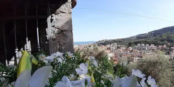Dreams Guest House - 124