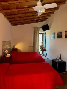 Fattoria Manostalla - 40