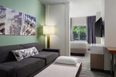 Springhill Suites By Marriott Metro Center - 41