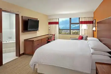 Sheraton Vancouver Airport - 41
