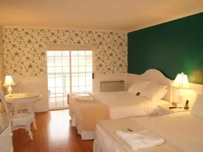South Thompson Inn & Conference Centre - 50