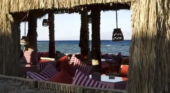 Coral Coast - 10