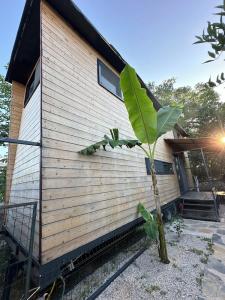 Bodrum Gaia Tiny Houses Butik - 46