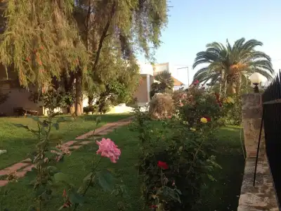 Kyriaki - 7