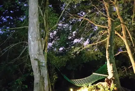 Green House - 35