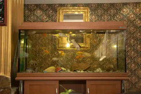 Aquarium - 20