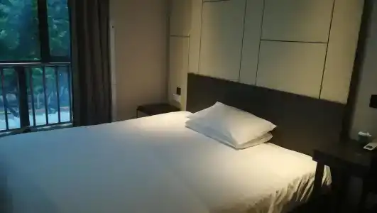 Hi Inn Shanghai Xinzhuang Gaoxing Road - 1