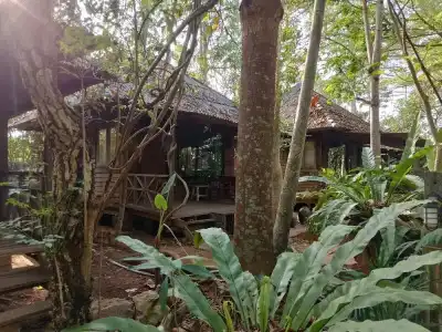 Pang Mai Resort - 23