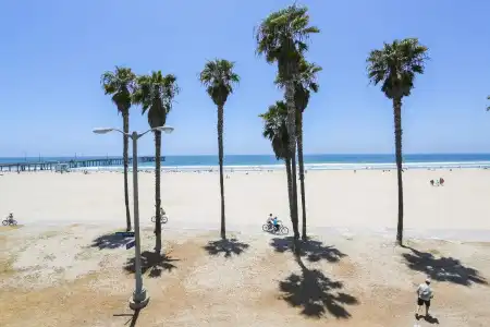Venice On The Beach - 34