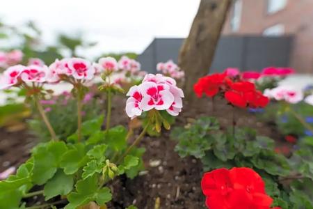 & Restaurant Sparta - 26