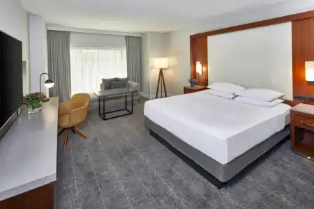 Hyatt Regency - 40