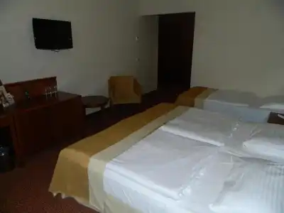 Mercure Szekesfehervar Magyar Kiraly - 31