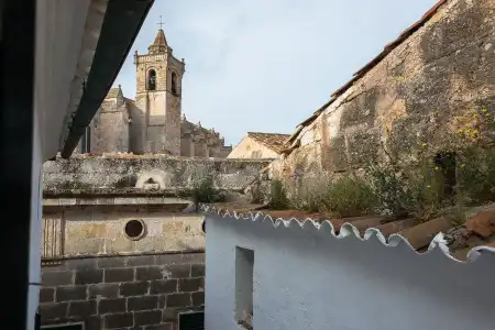 971 Con Encanto - 15