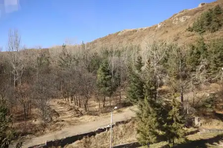 Jermuk Ani - 25