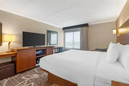 Comfort Inn Anaheim Resort - 46